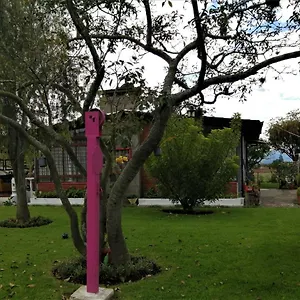 Chester's Bed & Breakfast Tababela
